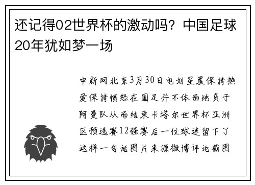 还记得02世界杯的激动吗？中国足球20年犹如梦一场